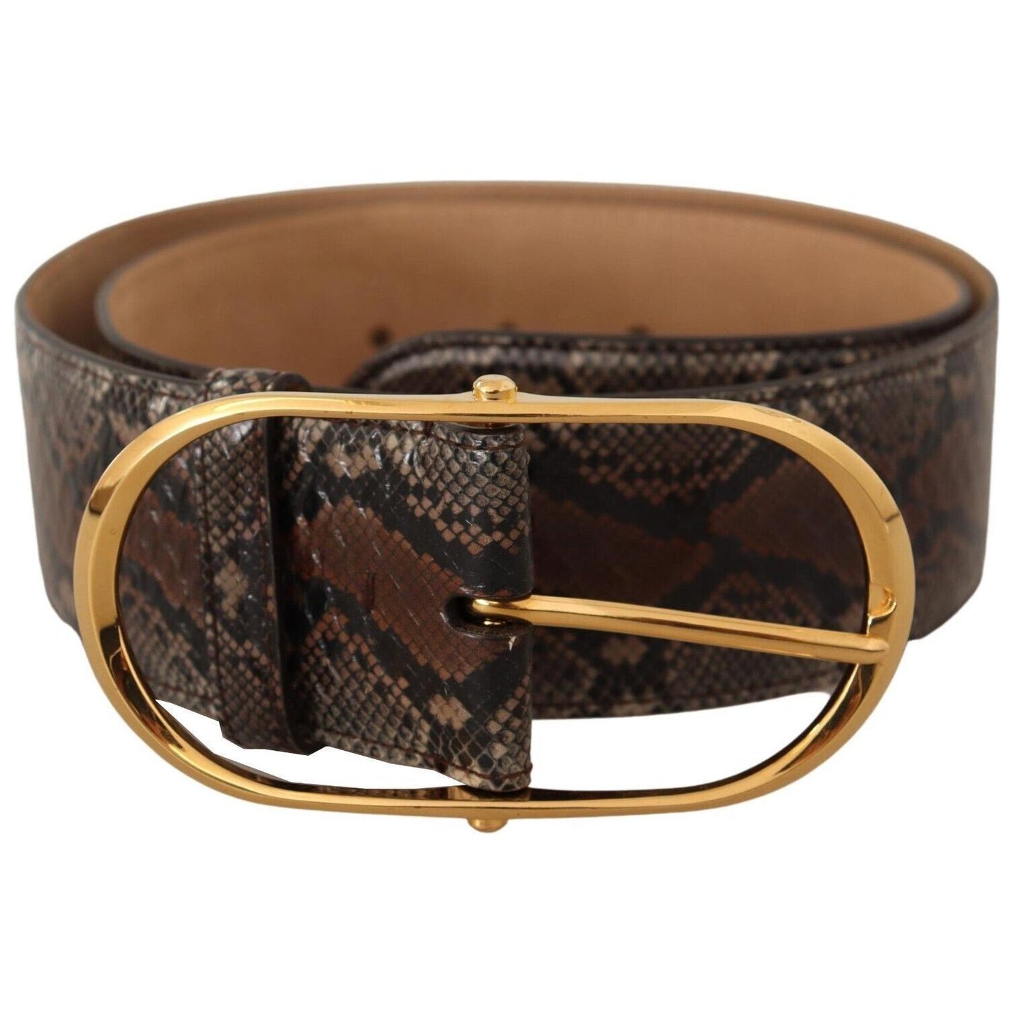 Dolce & Gabbana Elegant Brown Leather Belt with Gold Buckle WOMAN BELTS Dolce & Gabbana