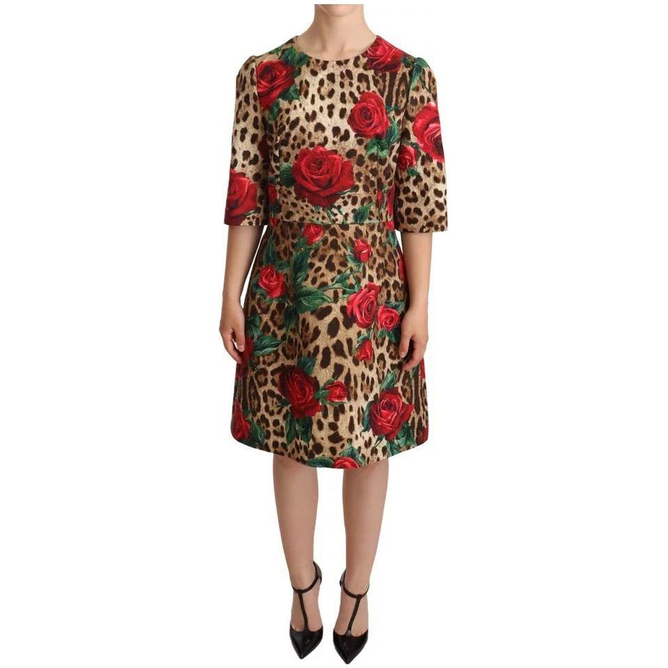 Dolce & Gabbana Brown Leopard Red Roses Cotton A-line Dress Dolce & Gabbana