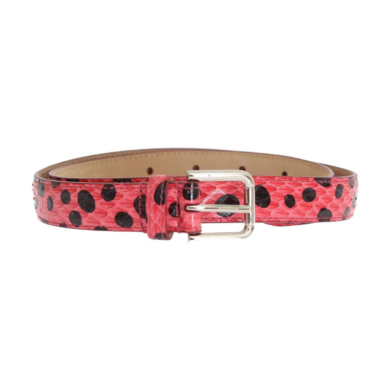 Dolce & Gabbana Polka Dot Snakeskin Belt with Silver Buckle Belt Dolce & Gabbana