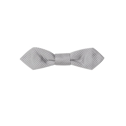 Dolce & Gabbana Gray Silk Bowtie