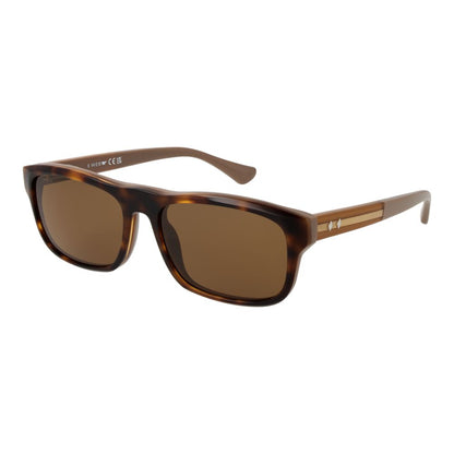 Web Brown Acetate Sunglasses Web