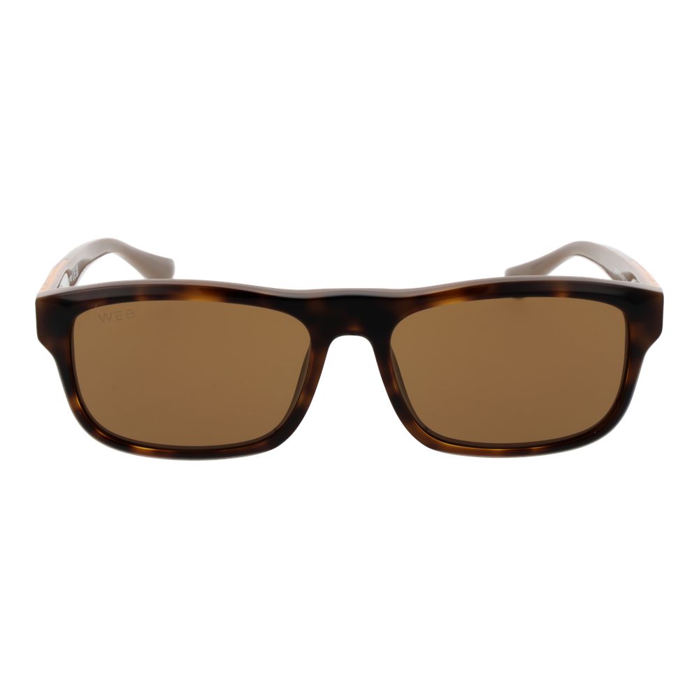 Web Brown Acetate Sunglasses Web